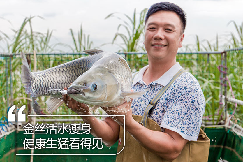 豐泰漁業