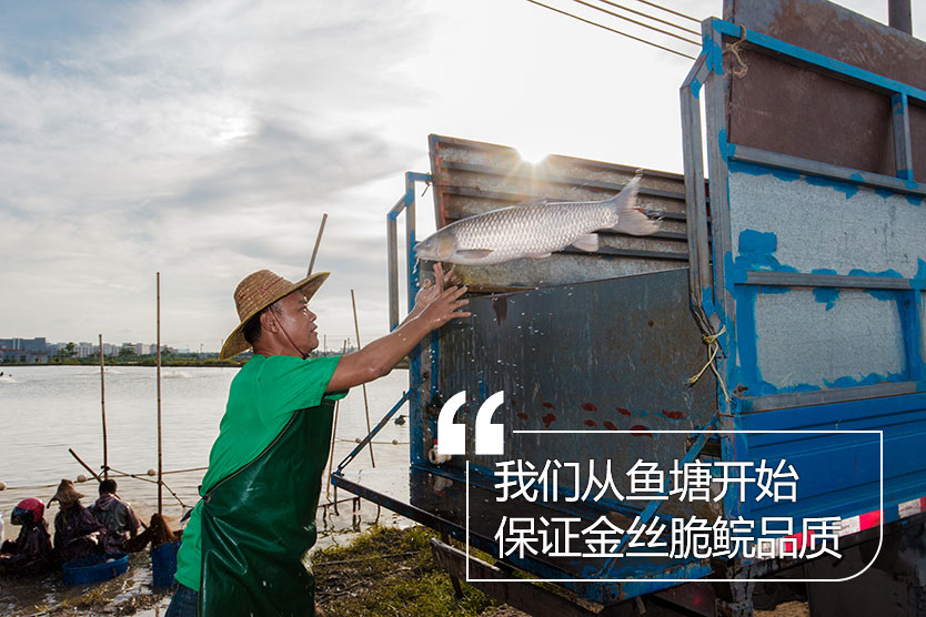 豐泰漁業