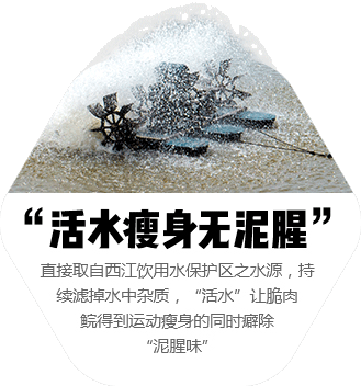 活水瘦身無泥腥