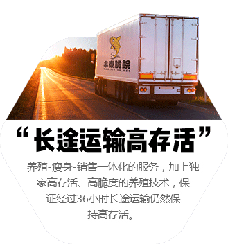 長途運輸高存活